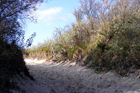 Lage in Warnow- und Ostseenähe